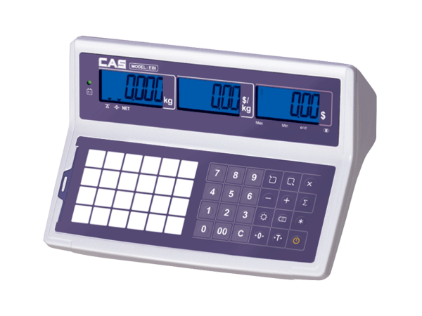 CAS EBI