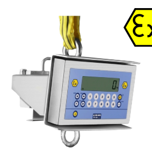 DINI ARGEO MCWX2GD CRANE SCALE