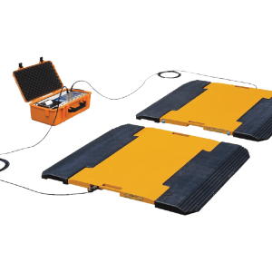 CAS RW-2601P + RW-15